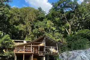Jungle River Lodge image
