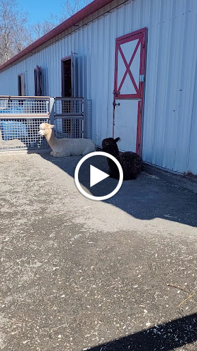 Zoo «Turtle Back Zoo», reviews and photos, 560 Northfield Ave, West Orange, NJ 07052, USA