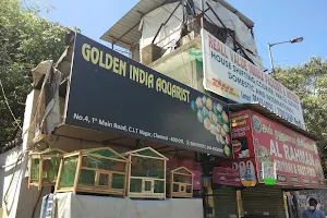 Golden India Aquarist image