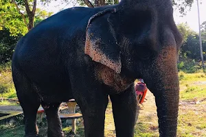 Lanta Island Safari (Elephant Camp) image