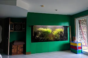 ABC Aquarium image