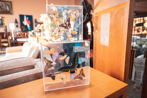 Consignment Shop «Consignment Classics Home Furnishings», reviews and photos, 201 S El Camino Real, Encinitas, CA 92024, USA