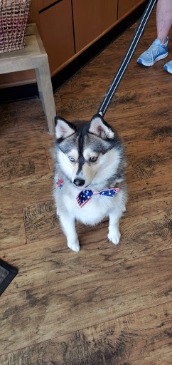 Pet Supply Store «EarthWise Pet Supply», reviews and photos, 7316 Yankee Rd, Liberty Township, OH 45044, USA