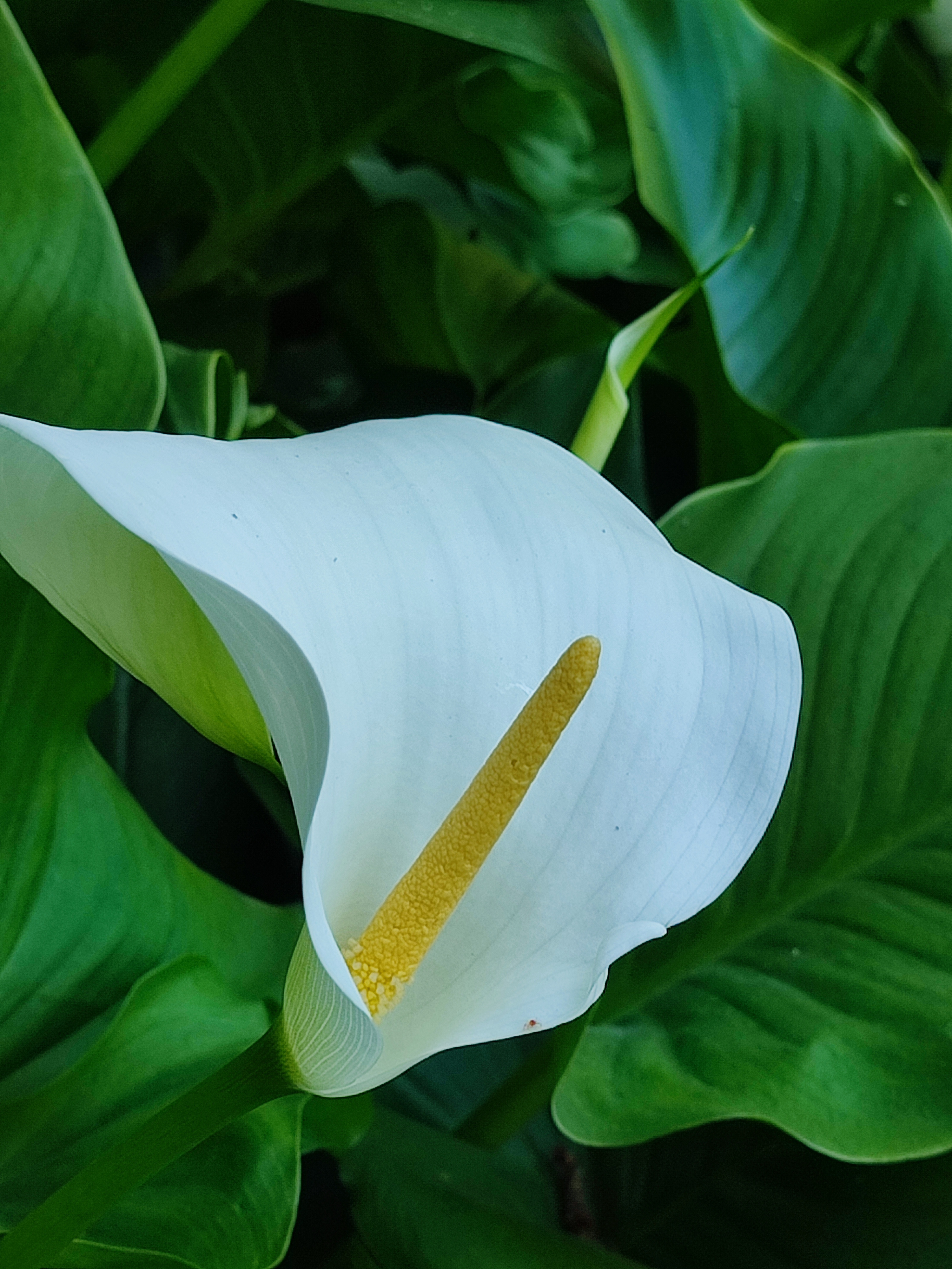 Photo n° 30 de l'avis de nina.a fait le 05/06/2023 à 14:46