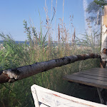 Photo n°1 de l'avis de Annika. fait le 03/08/2019 à 17:32 sur le  Blauer Seestern à Schwedeneck