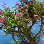 Photo n°4 de l'avis de Wata. fait le 06/09/2020 à 14:47 sur le  Hotel Marincanto à Positano