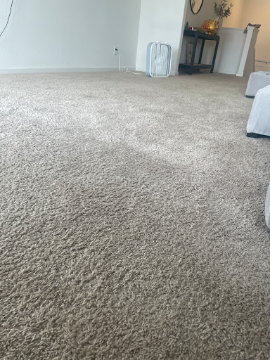 Carpet washing Minneapolis