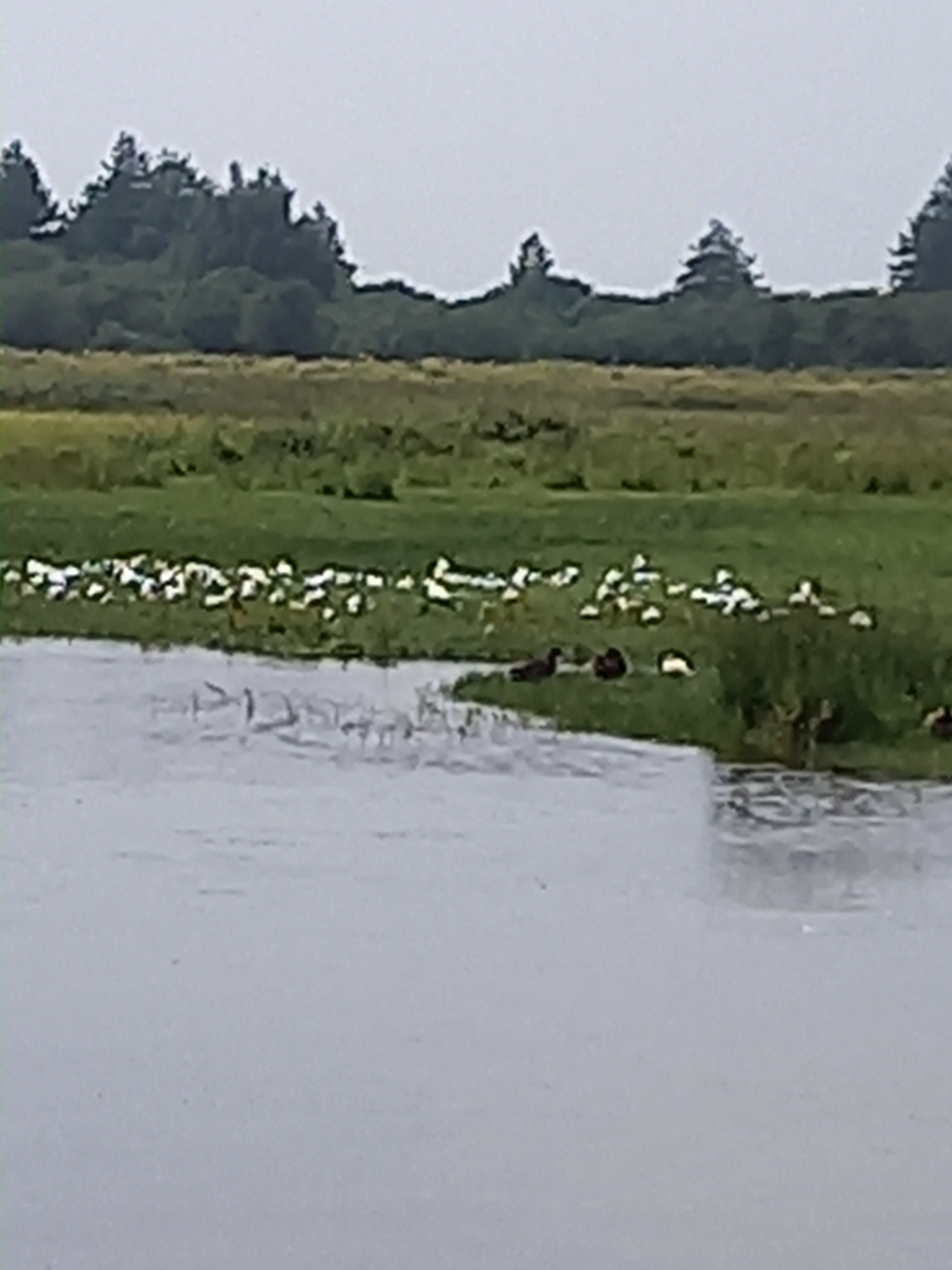Photo n° 2 de l'avis de Léo.E fait le 29/07/2021 à 19:18