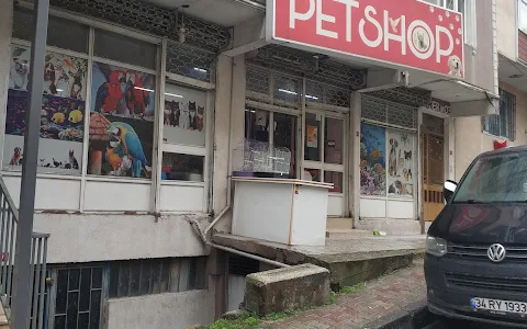 zeynep akvaryum petshop image