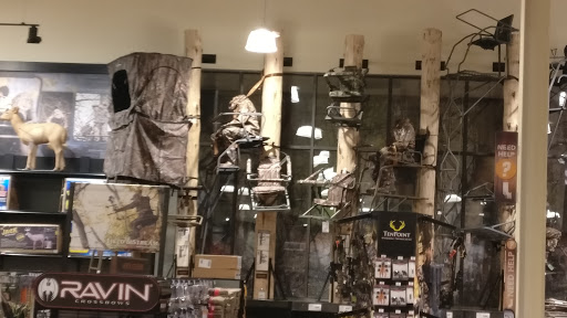 Outdoor Sports Store «Field & Stream», reviews and photos, 800 Brevard Rd #901, Asheville, NC 28806, USA