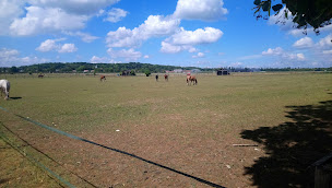Photo n°13 de SC Polo (Polo, Initiation Polo,Teambulding, Apremont, Paris) à Apremont ()