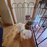 Photo n°5 de l'avis de Harald.u fait le 18/09/2023 à 10:11 sur le  Podere Albereto à Buonconvento