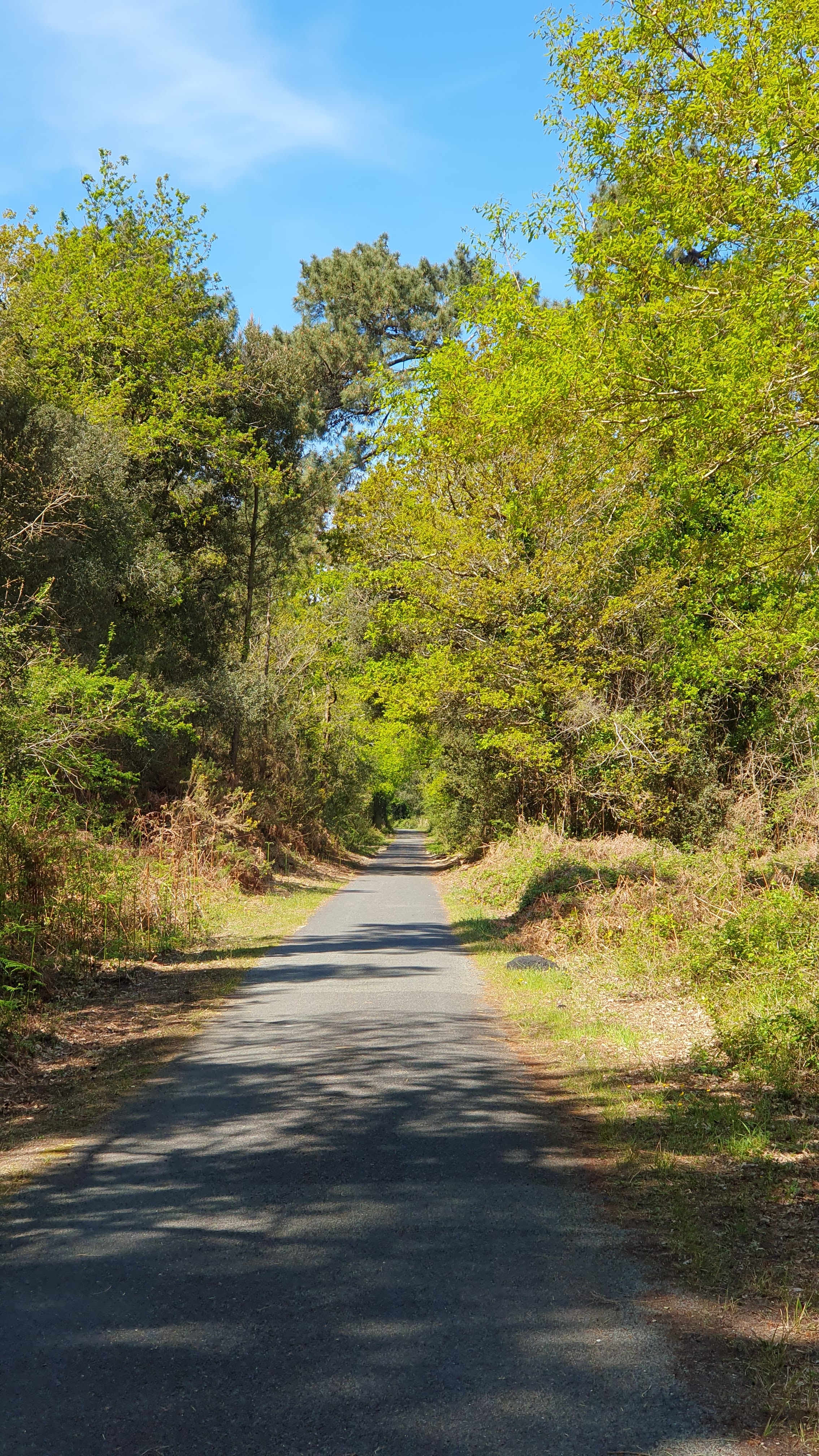 Photo n° 1 de l'avis de Sabrina.e fait le 20/04/2023 à 17:38