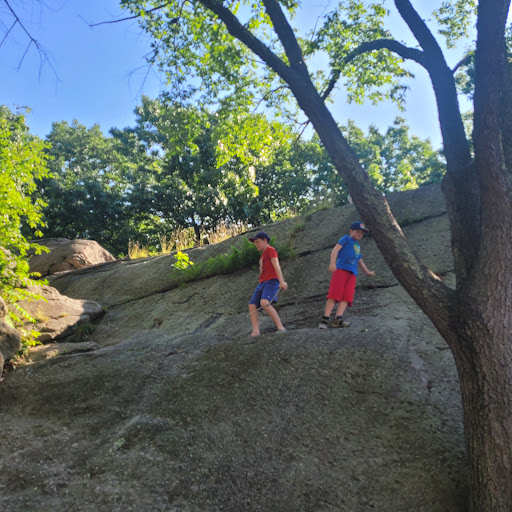 Park «Horatio Harris Park», reviews and photos, 85 Harold St, Boston, MA 02119, USA