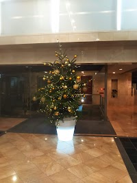KDXレジデンス平尾浄水町