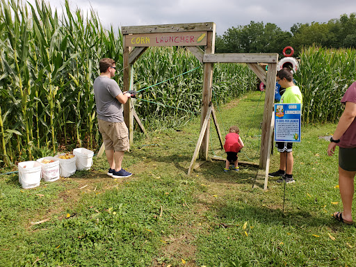 Tourist Attraction «Oregon Dairy Corn Maze», reviews and photos, 1289 Creek Rd, Lititz, PA 17543, USA