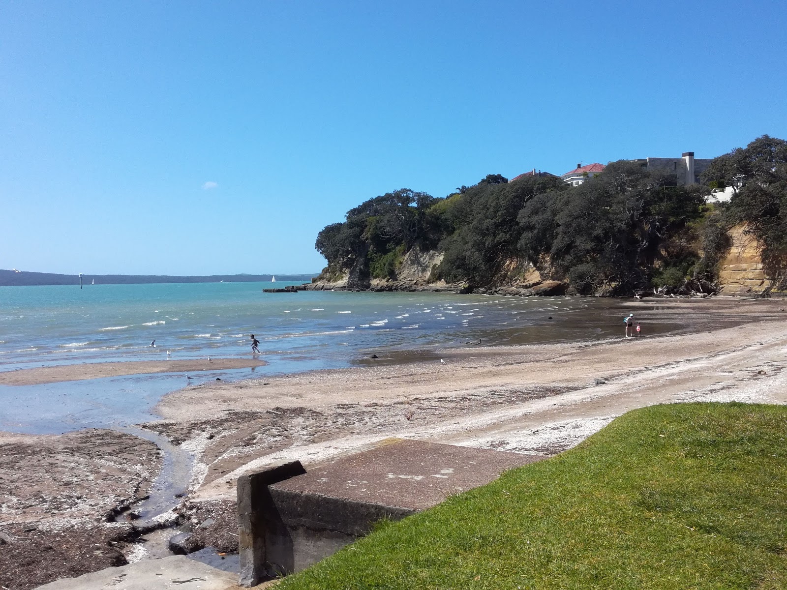 St Heliers Beach photo #6