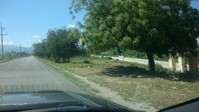 Photos of Granja de conejo