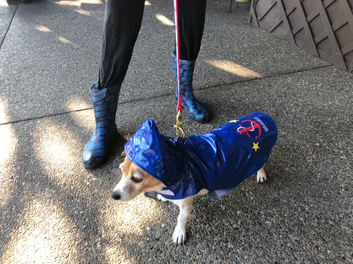 Pet Supply Store «Sonoma Pet and Aquatics», reviews and photos, 201 W Napa St #7, Sonoma, CA 95476, USA