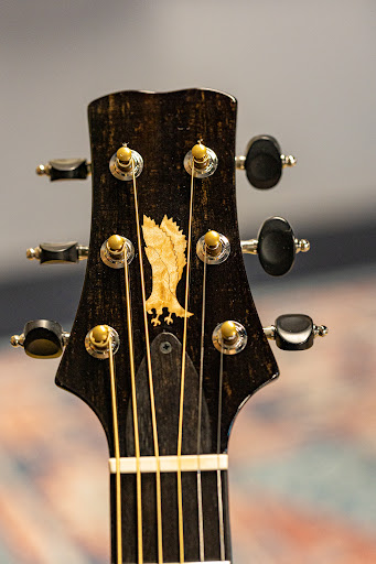 WildCat Guitars image