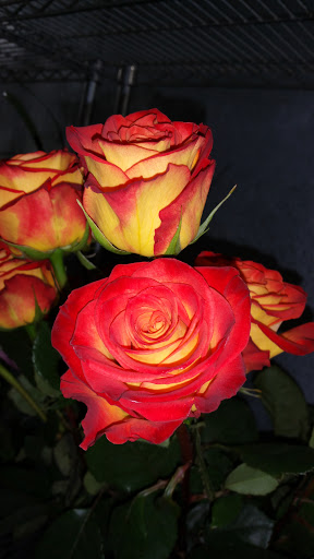 Florist «Petal Pusher Florist», reviews and photos, 2159 Tapo St, Simi Valley, CA 93065, USA