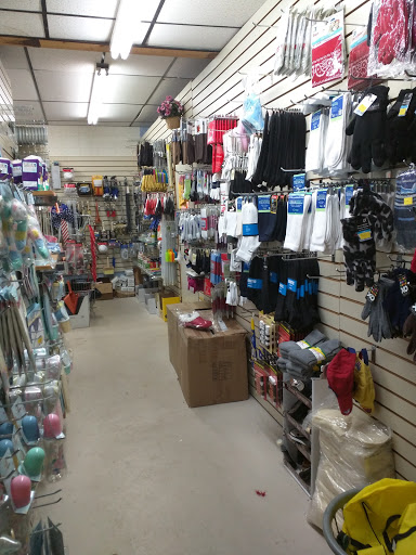Variety Store «D19 Dollar», reviews and photos, 7365 Pinckney Rd, Pinckney, MI 48169, USA