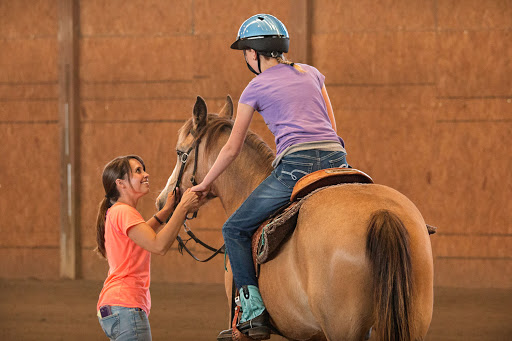 Horse Boarding Stable «Crown Haven Center», reviews and photos, 5282 County Rd W 250 S, Russiaville, IN 46979, USA