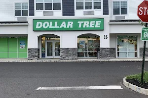 Dollar Tree image