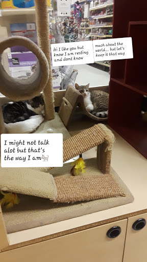 Pet Supply Store «PetSmart», reviews and photos, 8215 Laguna Blvd, Elk Grove, CA 95758, USA