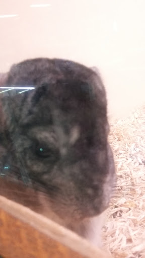 Pet Supply Store «OddBallPetFactory.com», reviews and photos, 8485 Plaza Blvd NE, Spring Lake Park, MN 55432, USA