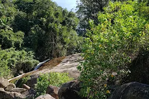 Poço do Castelo - Parque Nacional Serra dos Órgãos - Teresópolis image
