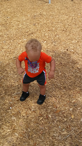 Community Center «Fair Oaks Park Community Center», reviews and photos, 5019 N 34th St, Tampa, FL 33610, USA