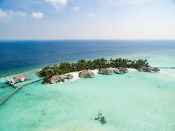 Cheval Blanc island'in fotoğrafı otel alanı