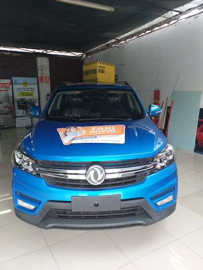 AutoStore DONGFENG