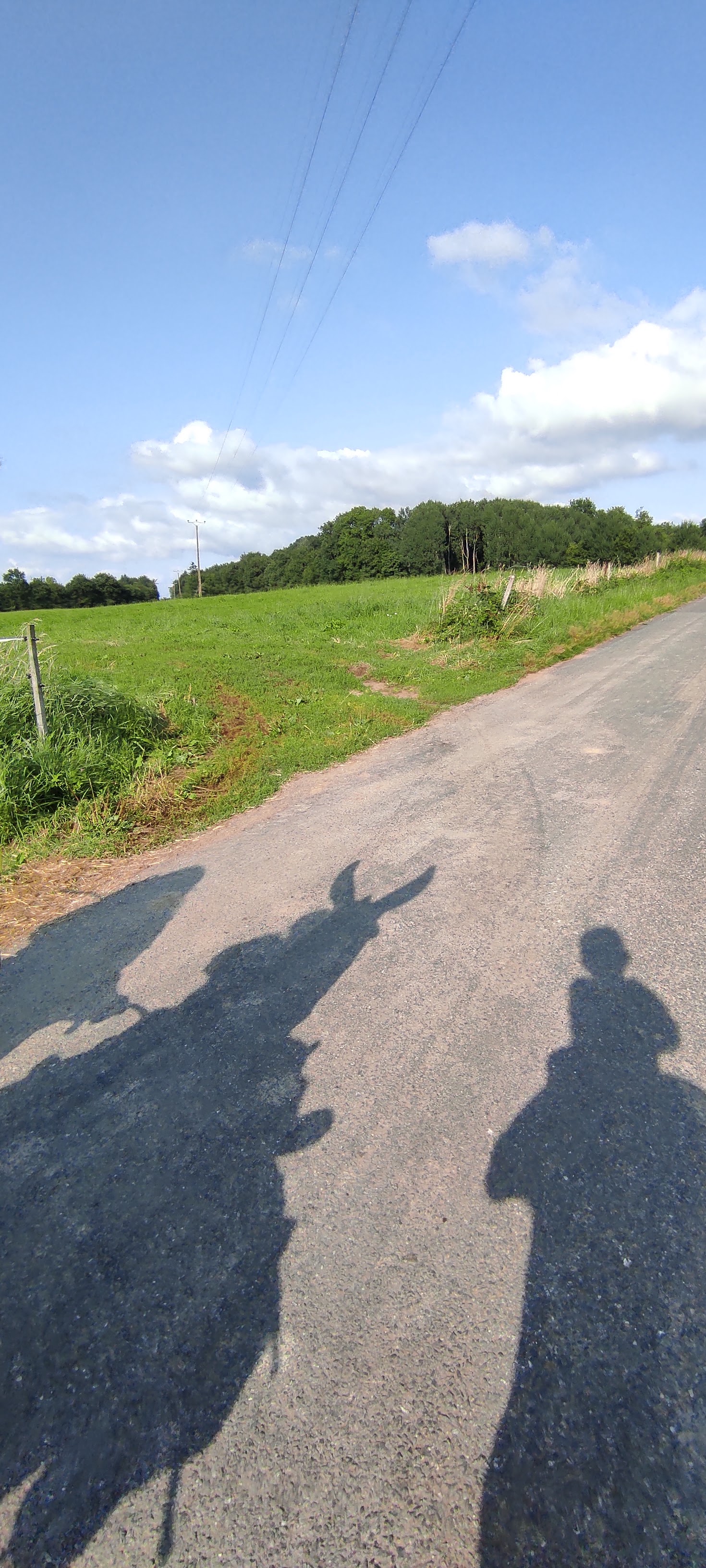 Photo n° 1 de l'avis de Nicolas.r fait le 23/08/2021 à 18:02