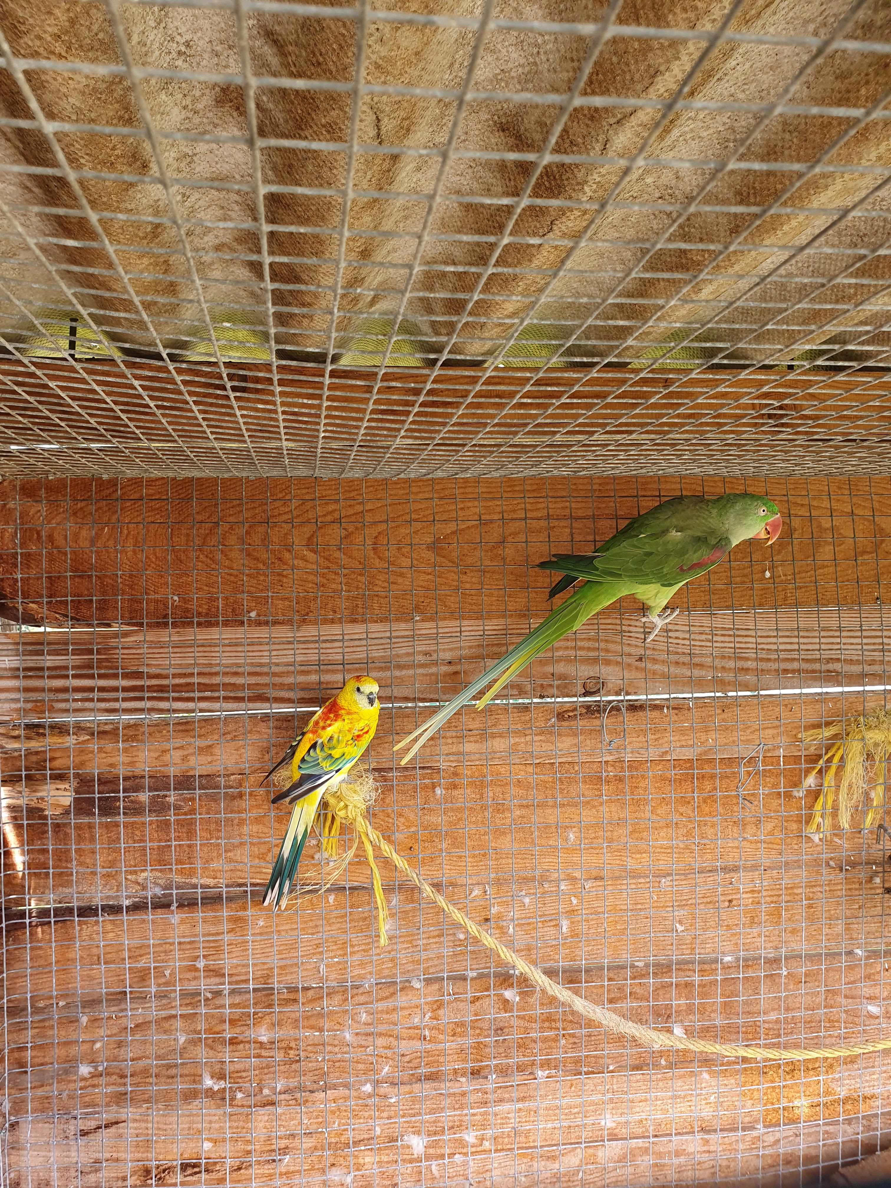 Photo n° 5 de l'avis de laurane.a fait le 11/04/2022 à 15:48