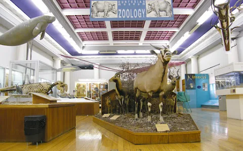 Hunterian Zoology Museum image