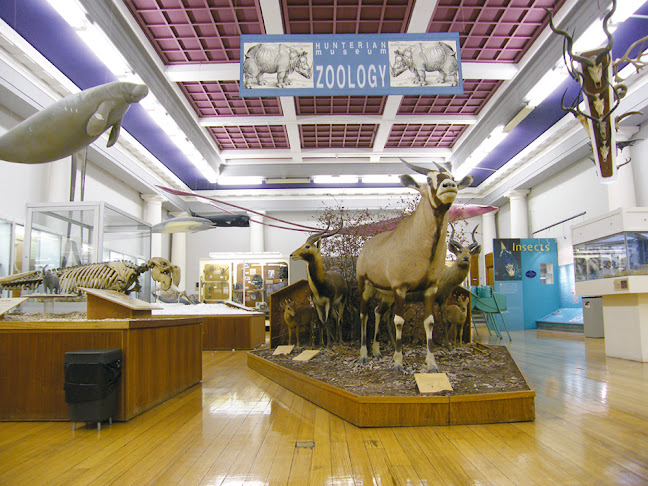 Hunterian Zoology Museum