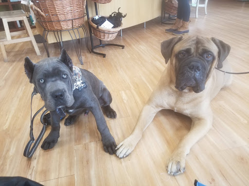 Pet Supply Store «All The Best Pet Care», reviews and photos, 1909 NW Market St, Seattle, WA 98107, USA