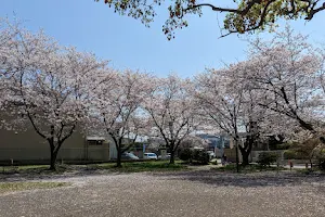 Yotsuyashimocho Park image