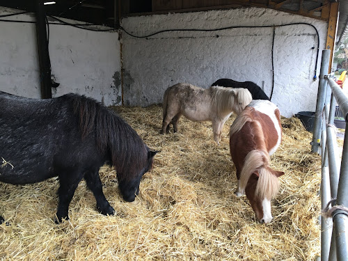 S.A.S Centre Equestre de Pessac Romainville à Pessac