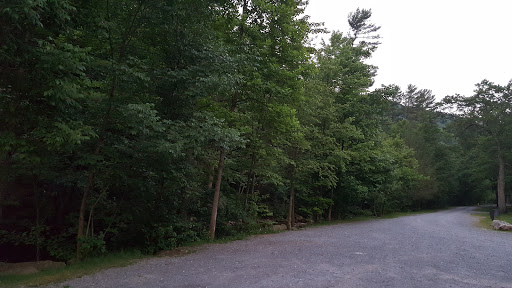 Park «Lykens Glen Park», reviews and photos, 706 Park View Rd, Lykens, PA 17048, USA