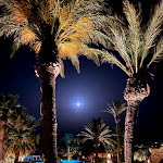 Photo n°7 de l'avis de Federico.c fait le 25/07/2021 à 10:02 sur le  Hotel Aquadulci à Chia, Domus De Maria