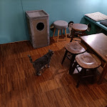 Photo n°6 de l'avis de Andrea.a fait le 25/09/2021 à 22:07 sur le  Crazy Cat Café à Milan