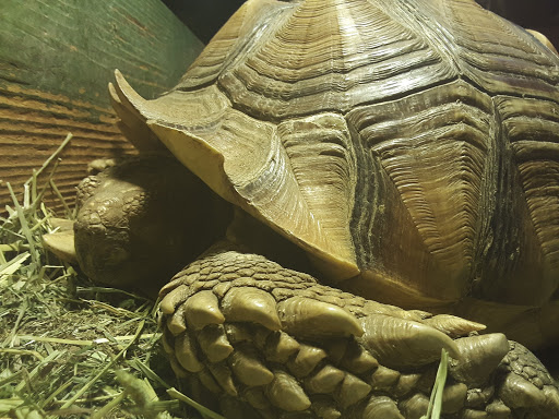 Pet Store «Critter Cabana - Wilsonville», reviews and photos, 8406 SW Main St #200, Wilsonville, OR 97070, USA