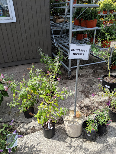 Stores to buy outdoor plants Milwaukee