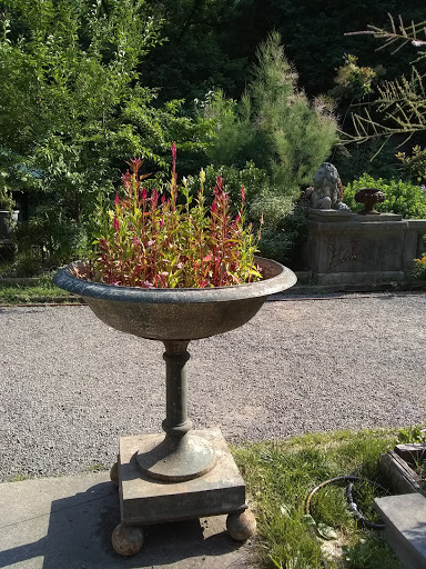 Movie Theater «Angelika Film Center & Café - New York», reviews and photos, 18 W Houston St, New York, NY 10012, USA