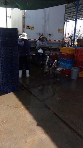 MERCADO MIRAMAR - Ilo