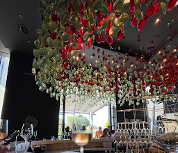 Steenberg Tasting Room photo