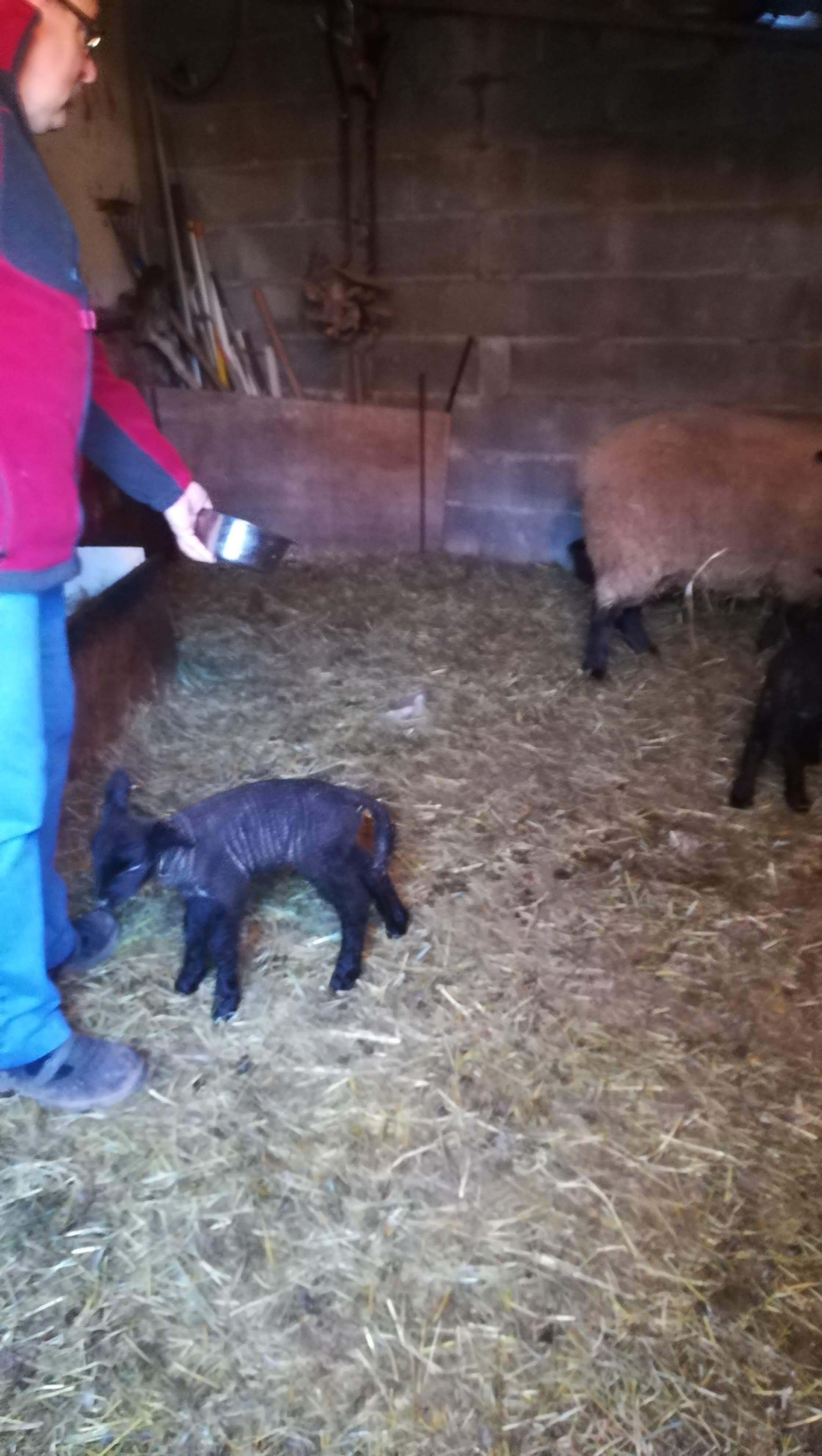 Photo n° 2 de l'avis de Sylvie.a fait le 11/04/2019 à 18:49